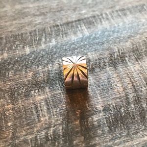 Pandora clip charm